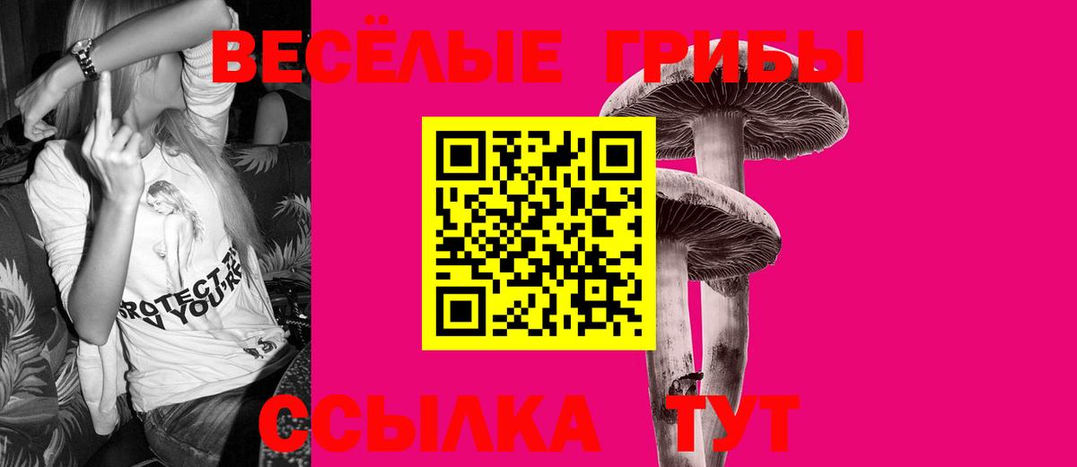 Галлюциногенные грибы ЛСД  Вход с VPN  Галлюциногенные грибы GOLDEN TEACHER  Ставрополь 